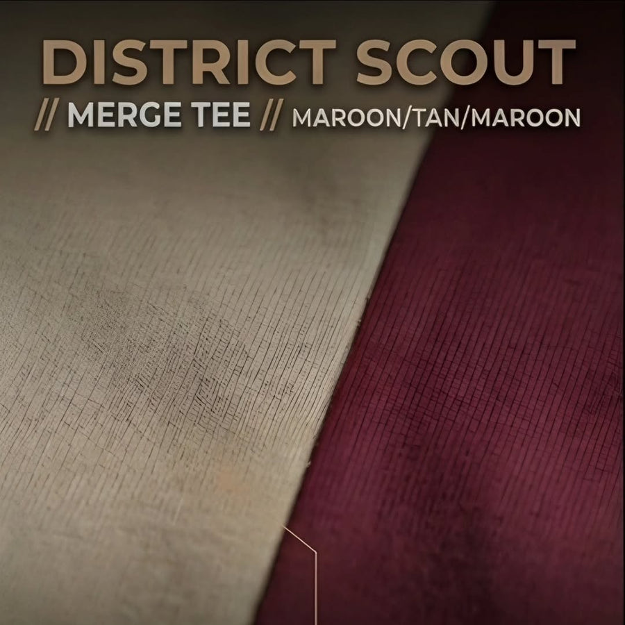The district Scout